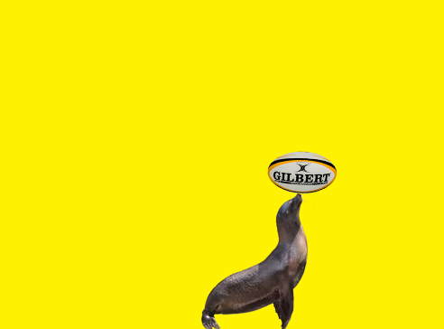 foca_covid
