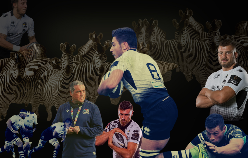 Zebre 2017/2018